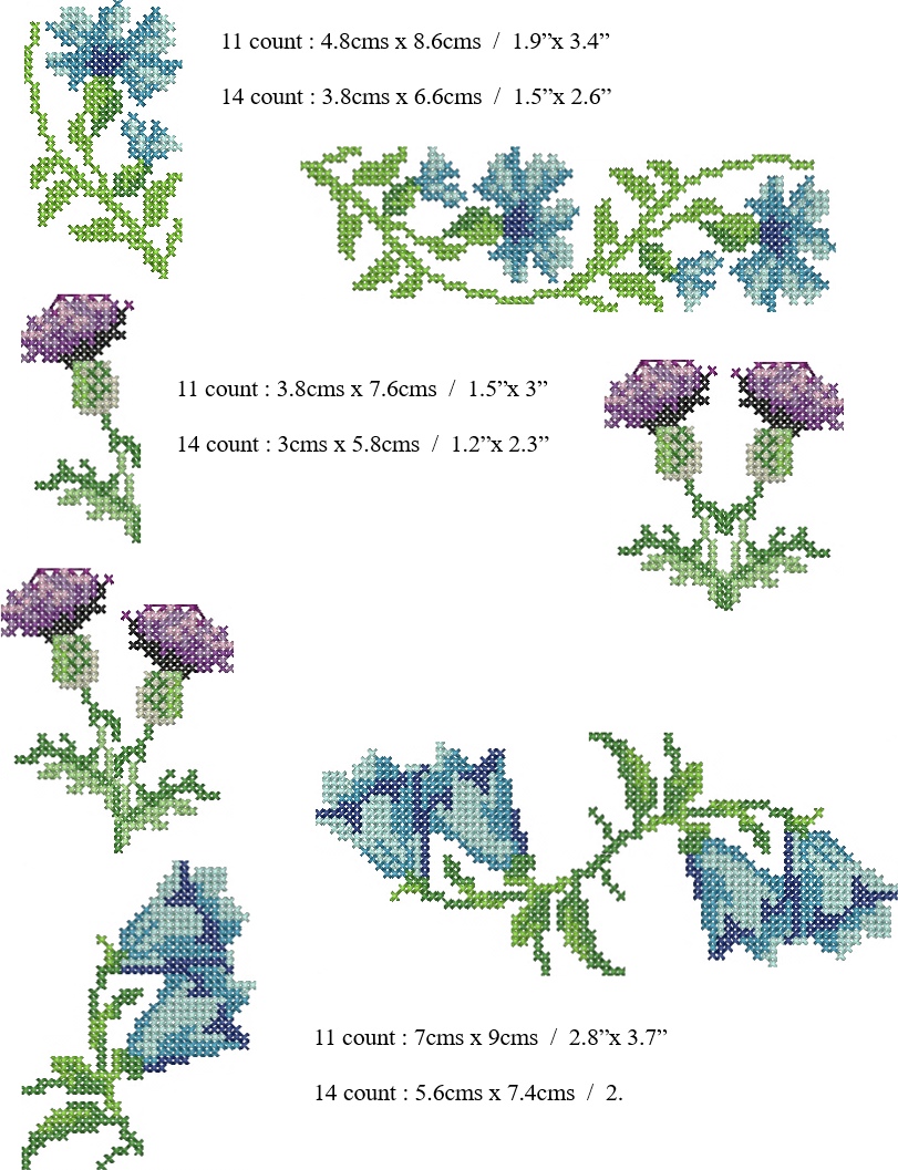 blueandpurple picture