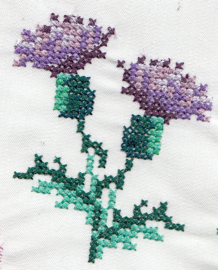 flower thistle double